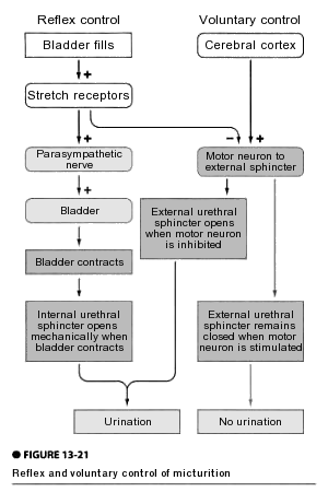 Fig.13-21 Fig.13-21